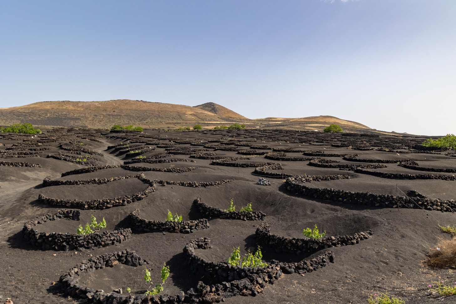 Lanzarote zonder planning: hoe een eiland je dagindeling overneemt
